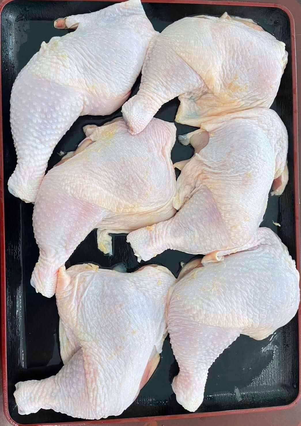 ນ່ອງຕິດສະໂພກ