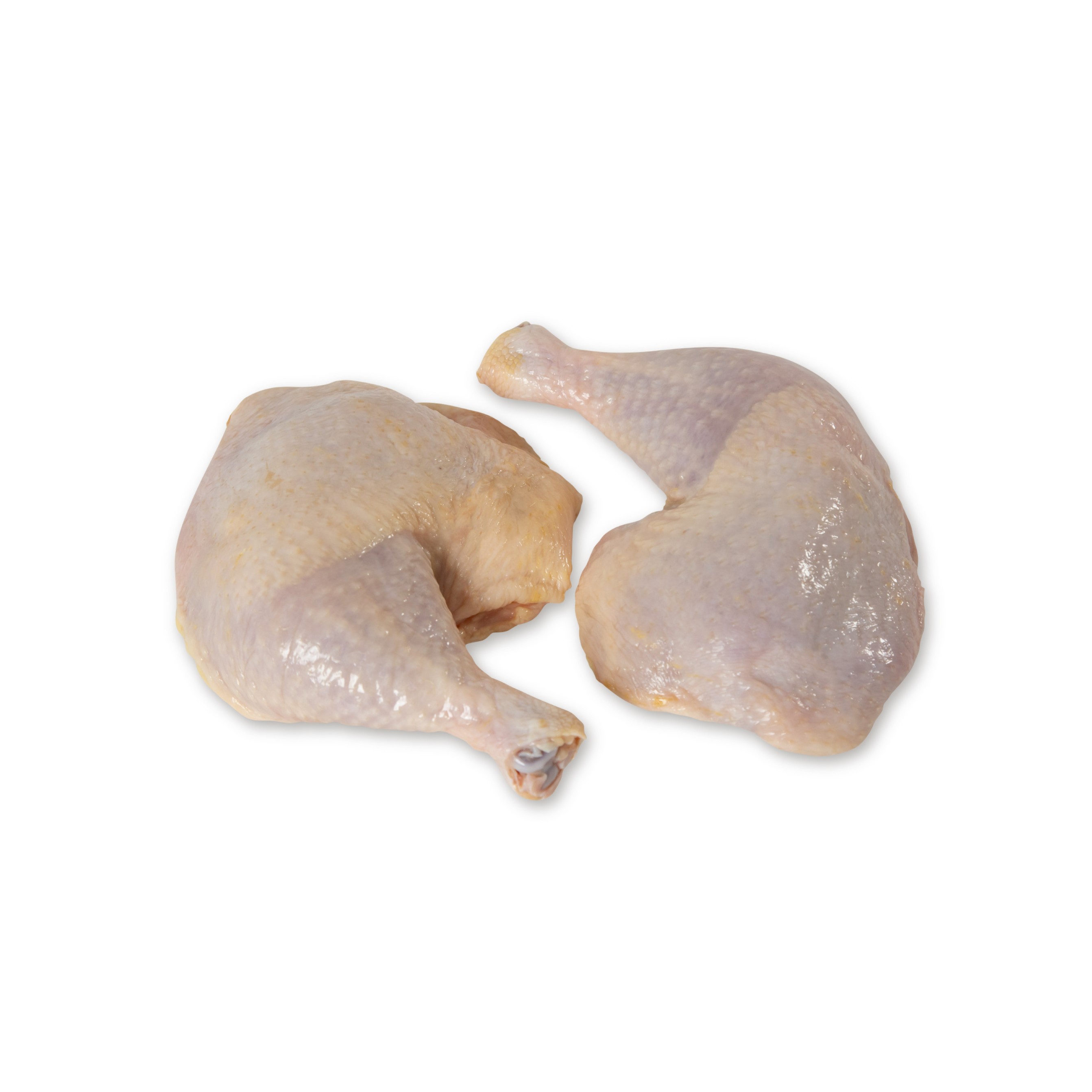 ນ່ອງຕິດສະໂພກ (2) ຂໍ້ຫັກ