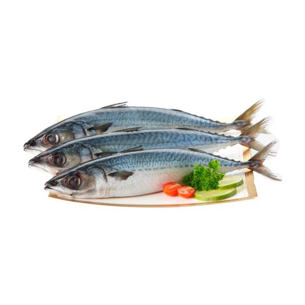 PP ປາຊາບະ 1kg